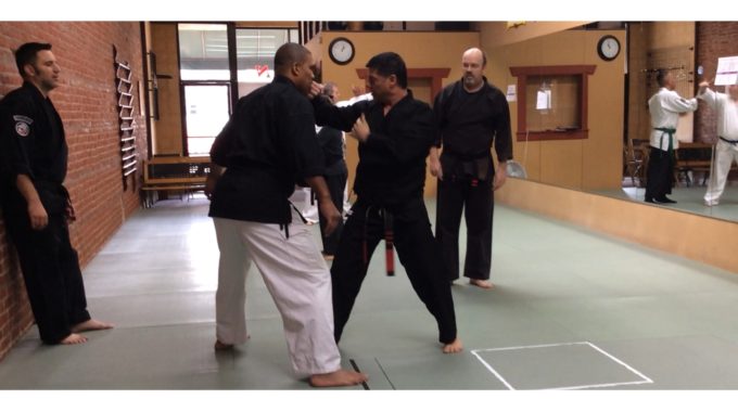Sister Ending Techniques - American Kenpo Karate