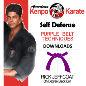 Purple-Belt-Technique-8-Degree