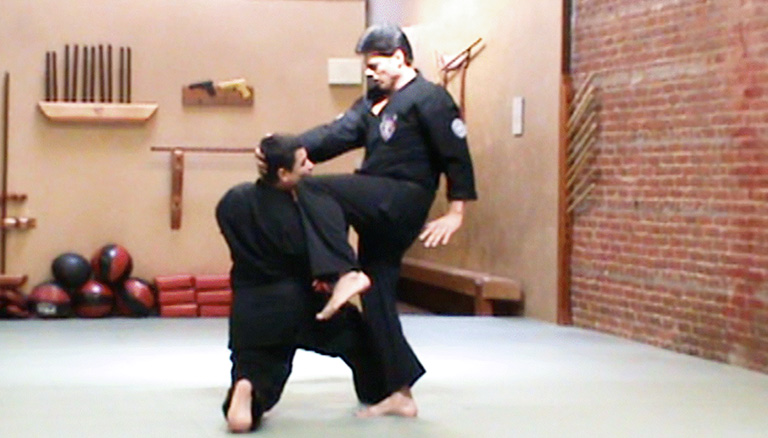 Shield & Mace with Extension - American Kenpo Karate Martial Arts Near Me