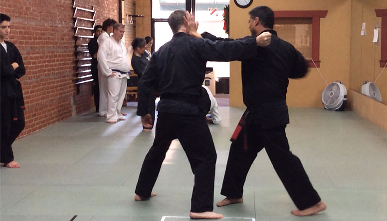 Sister Techniques - American Kenpo Karate
