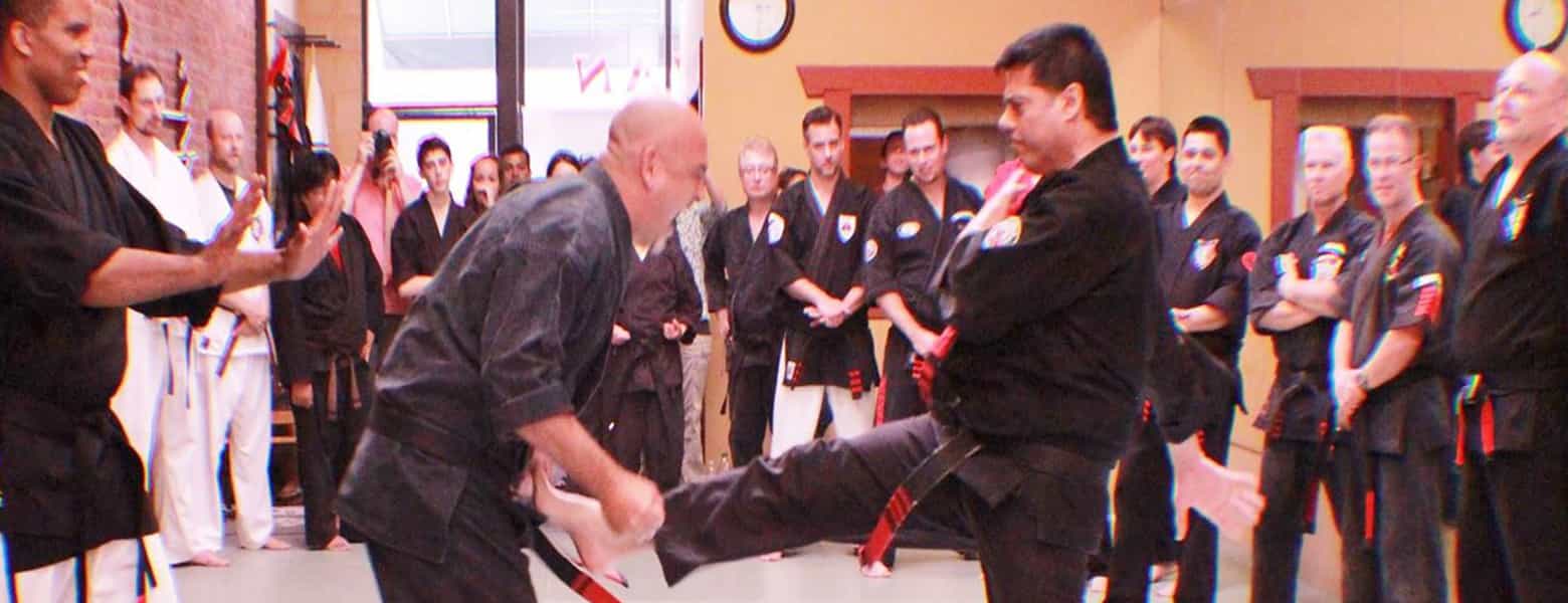 martial arts america pace