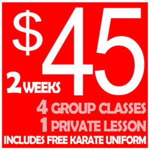 American Kenpo Karate Pack 2 Weeks - Pasadena