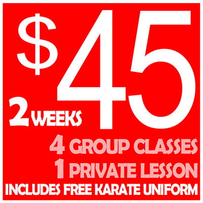 American Kenpo Karate Pack 2 Weeks - Pasadena