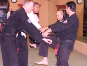 Karate Kids intership - American Kenpo Karate