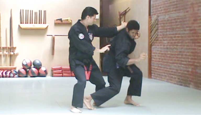 Flashing Wings with Extension Blog - American Kenpo Karate